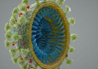 3D illustration showing the novel coroanvirus.